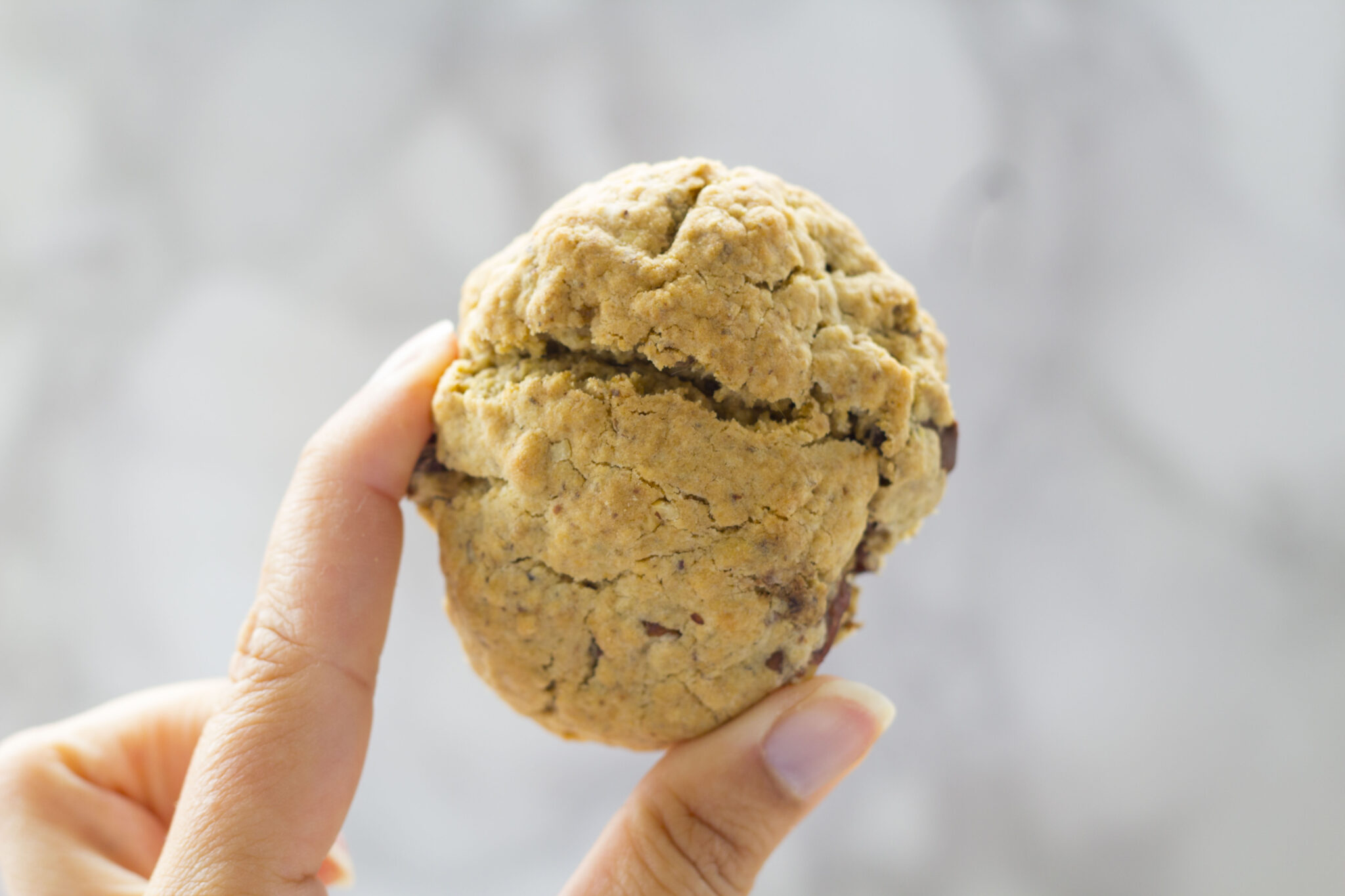 vegan chocolate chip and pecan protein cookie being held up in someone's hand