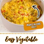 A pot filled with cooked Vegan Biryani, labeled “MAKE IN ONE POT!” Text below reads “Easy Vegetable Biryani” and “wemadethisvegan.com.”.