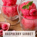 Vegan Raspberry Sorbet
