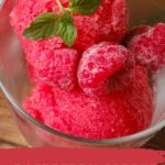 Vegan Raspberry Sorbet