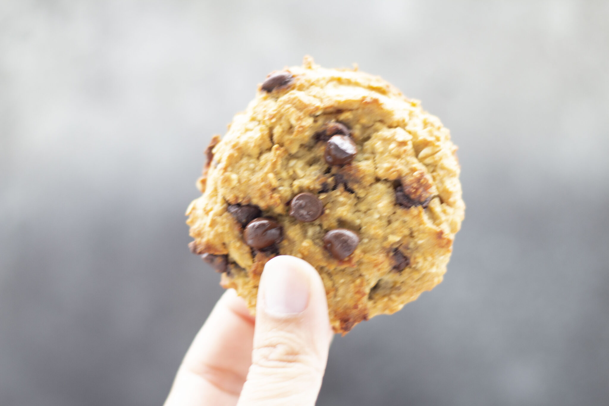 a hand holding up one Chocolate Chip Vegan Chickpea Cookie