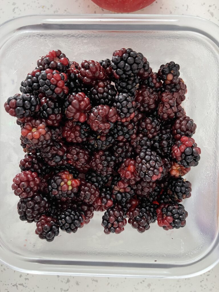 Vegan Apple and Blackberry Crumble Bars Recipe 268 A Bowl of blackberries