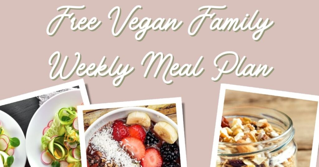 Vegan Family Meal Plan 4th January 2021 1 free vegan family weekly meal plan.
