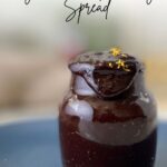Vegan chocolate orange spread