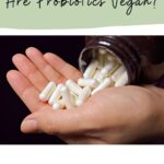 are probiotics vegan?