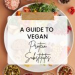 a guide to vegan protein substitutes.