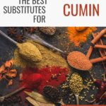 The Best Substitutes For Cumin In Cooking
