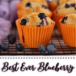 Four vegan blueberry muffins in orange wrappers sit on a cooling rack, with fresh blueberries nearby. Text reads "Dairy Free! Best Ever Vegan Blueberry Muffins Recipe.