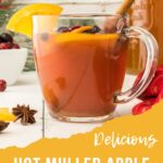 DELICIOUS OLD FASHIONED MULLED APPLE CIDER RECIPE