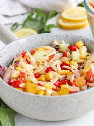 Veggie Rainbow Orzo Salad Recipe With Lemon Basil Dressing