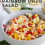 Veggie Rainbow Orzo Salad Recipe With Lemon Basil Dressing