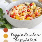 A bowl of colorful rainbow orzo salad with a mixture of red, yellow, and green veggies on a light countertop. Text overlay reads "Veggie Rainbow Orzo Salad" with a color palette of four swatches below.