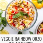 veggie rainbow orzo salad recipe
