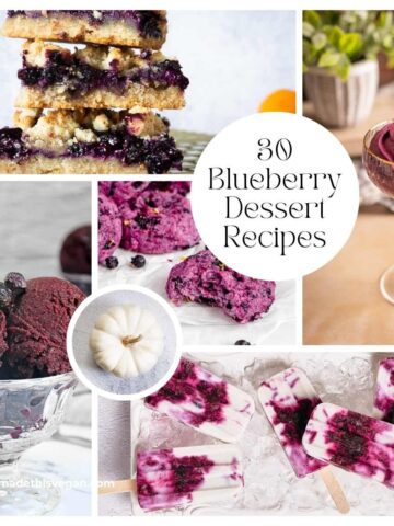 Collage of vegan blueberry desserts including bars, ice cream, cookies, cupcakes, mousse, and popsicles. Text in the center reads "30 Blueberry Dessert Recipes.