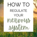 A poster reads "Comprehensive Guide to Regulate Your Nervous System" over an image of a serene meadow with a tree at sunrise. Website at the bottom: www.wemadethisvegan.com.