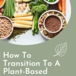 An assortment of vegetables, grains, and legumes is displayed on a pale green background with the text "Beginner's Guide: How to Transition to a Plant-Based Diet" and a leaf graphic.