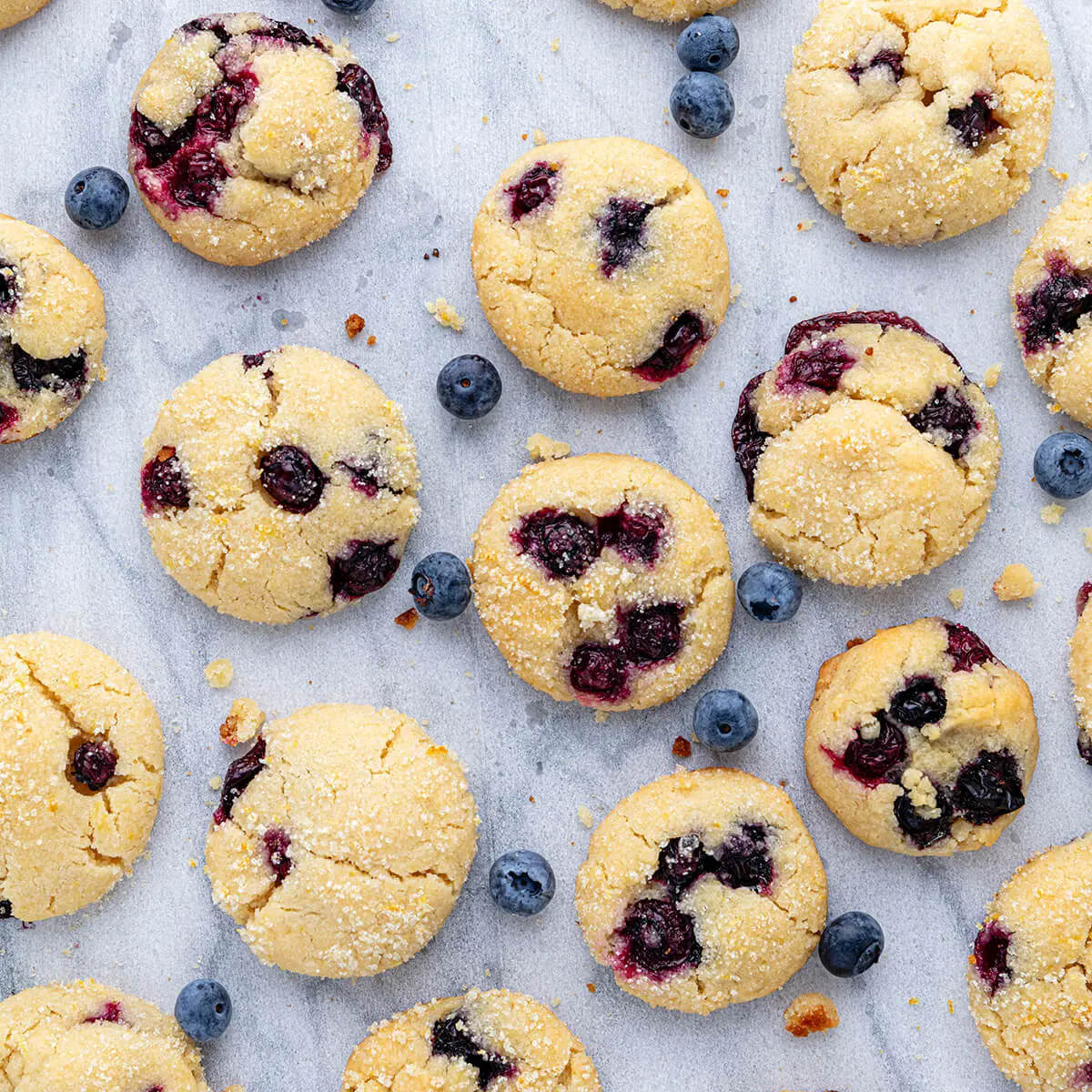30 Delicious Vegan Blueberry Dessert Recipes 18 Vegan lemon blueberry cookies arranged on a marble surface.