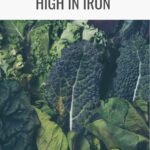 Assorted leafy greens and Brussels sprouts showcasing the text: "Top Iron-Rich Plant-Based Foods.