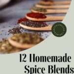 Wooden spoons filled with various spices lay delicately on a surface, accompanied by the text: "12 Vegan Spice Blends" and "With a free printable download".