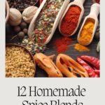 Various spices and dried herbs in wooden spoons and bowls adorn the table, accompanied by the text "12 Vegan Homemade Spice Blends" and a website link below.