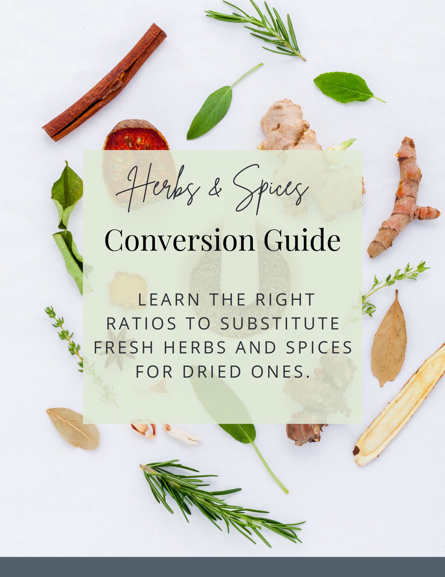 Colourful herbs and spices in the background with text explaining fresh to dried herb and spice conversion guide.