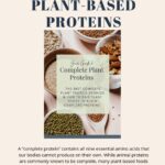 Guide to Complete Plant-Based Proteins flyer. Features small bowls of grains and a central title block. Discover the benefits of plant-based proteins with our Free Download. Explanatory text and a "Download Now" button at the bottom.