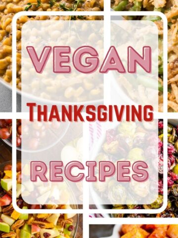 Collage of various Vegan Thanksgiving Recipes, featuring delicious plant-based dishes with a bold red and white text overlay that reads "Vegan Thanksgiving Recipes.