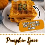 A stack of vegan pumpkin waffles topped with pumpkin seeds sits on a white plate, surrounded by small pumpkins and a blue cloth.