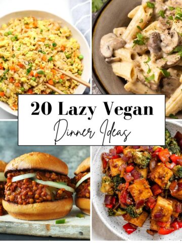 A collage of four vegan dishes—fried rice, creamy mushroom pasta, sloppy joe burgers, and a vegetable stir-fry—with the text "20 Lazy Vegan Dinner Ideas" in the center, highlighting quick and delicious vegan recipes.